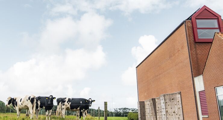 Her finder du generel information om de ni studieretninger, der udbydes på Lemvig Gymnasium.