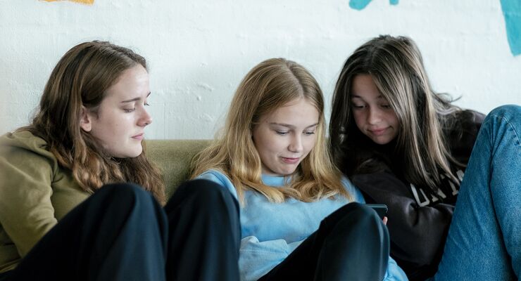 Selvevalueringen skal kvalificere dialogen og debatten mellem ledelse, lærere og elever om kvaliteten af undervisningen og af elevernes udbytte af ...